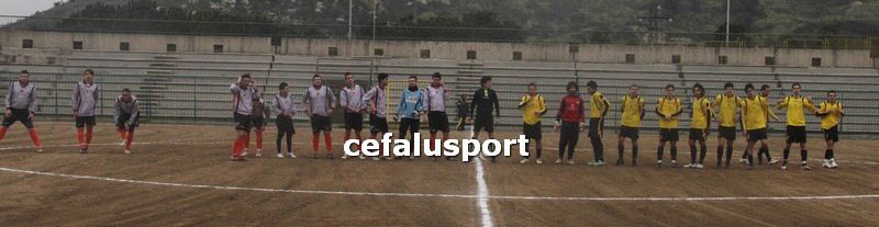 120310 stefanese 031y_tn.jpg